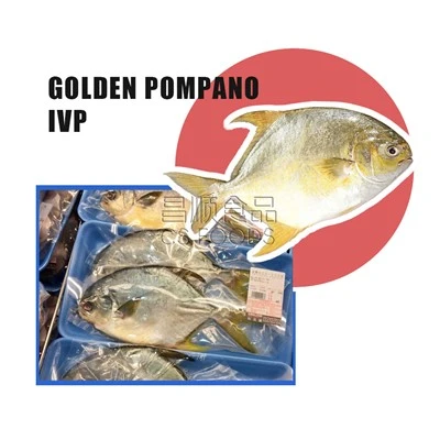 IVP Golden Pompano